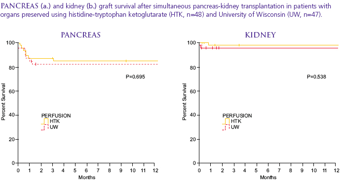 pancreaschart3